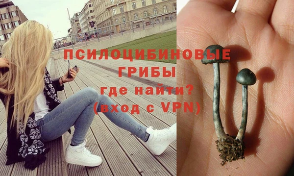 дурь Богданович